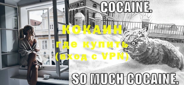 мяу мяу мука Арсеньев